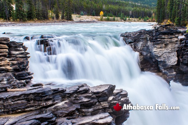 Athabasca Falls During February