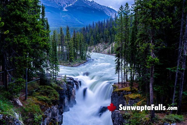 Sunwapta Falls in February